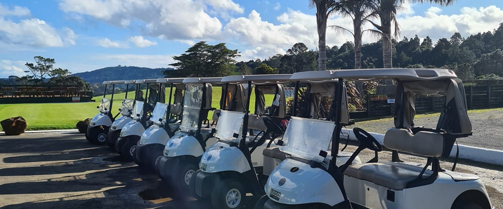 GOLF CARTS FOR YOUR CONVENIENCE